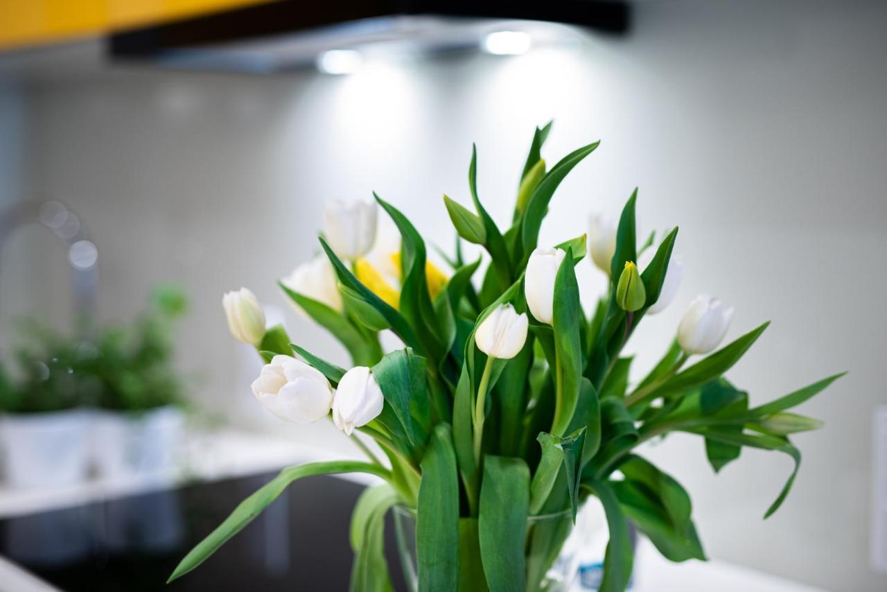 Apartamenty Tespis - Francuska Atal Park II Катовице Экстерьер фото